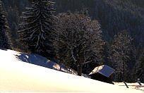 Pension Jordan Kirchberg in Tirol Exteriér fotografie